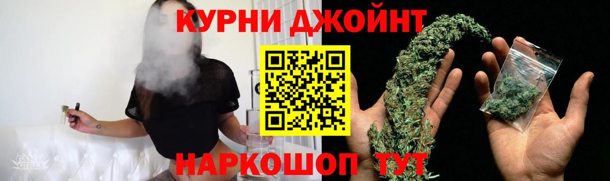 Конопля конопля Россия